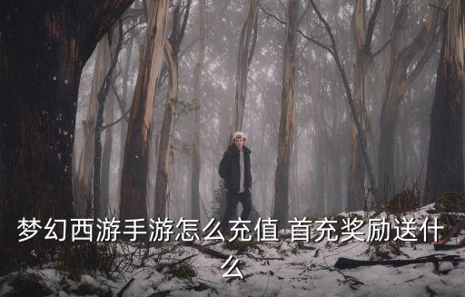 梦幻西游手游怎么充值 首充奖励送什么