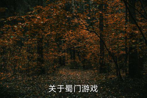 关于蜀门游戏