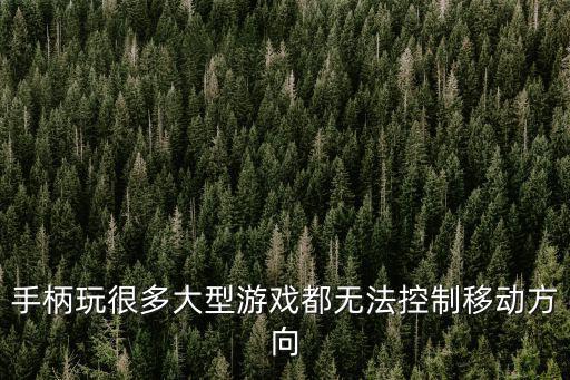手游腕豪怎么控制大的方向，怎么设置游戏方向键