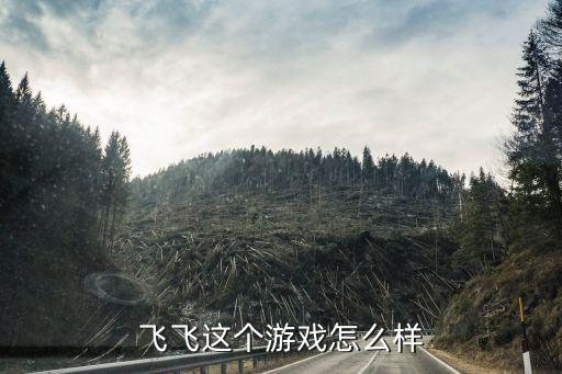飞飞这个游戏怎么样