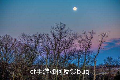 cf手游如何反馈bug