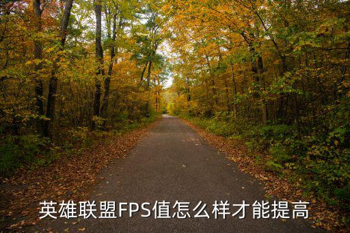 英雄联盟FPS值怎么样才能提高
