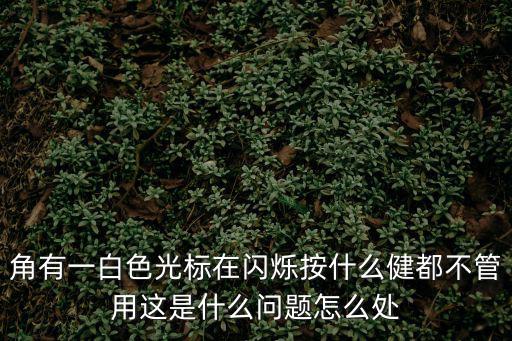 角有一白色光标在闪烁按什么健都不管用这是什么问题怎么处