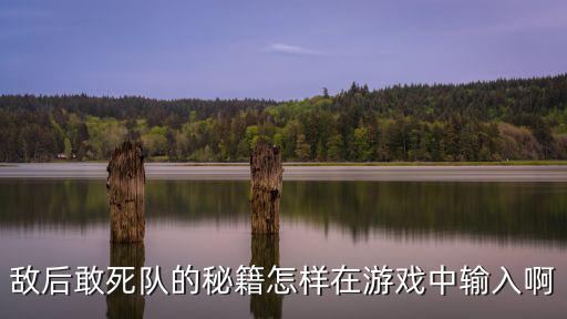 玄中记手游32怎么打攻略，敌后敢死队的秘籍怎样在游戏中输入啊