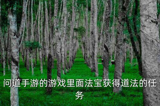 问道手游的游戏里面法宝获得道法的任务