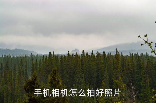 方舟手游相机怎么拍，手机相机自拍怎么设置
