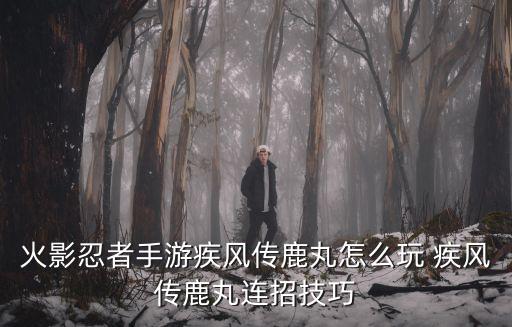 火影忍者手游疾风传鹿丸怎么玩 疾风传鹿丸连招技巧