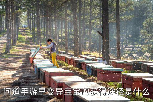 问道手游里变异宝宝的获得途径是什么