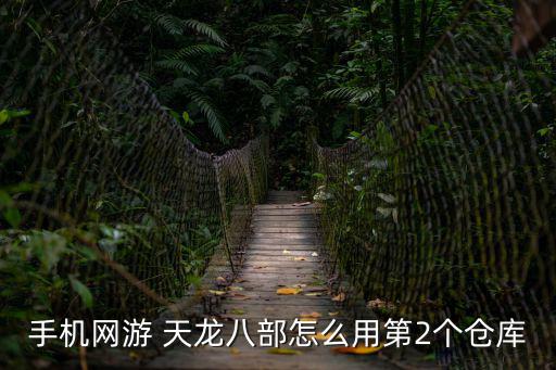 手机网游 天龙八部怎么用第2个仓库