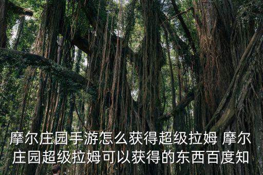 摩尔庄园手游怎么获得超级拉姆 摩尔庄园超级拉姆可以获得的东西百度知