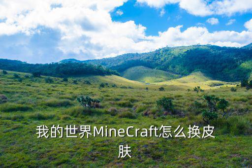 mc手游怎么给坐骑弄皮肤，我的世界MineCraft怎么换皮肤