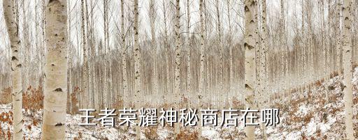 王者荣耀神秘商店在哪