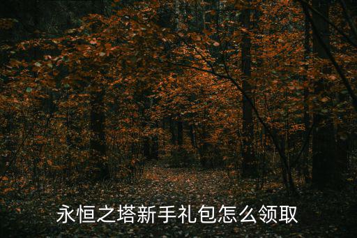 永恒之塔新手礼包怎么领取
