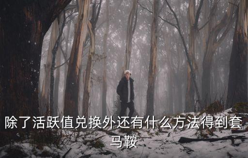 除了活跃值兑换外还有什么方法得到套马鞍