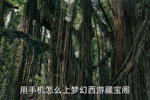 用手机怎么上梦幻西游藏宝阁