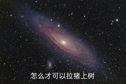 手游模拟农场18怎么拉猪，怎么才可以拉猪上树