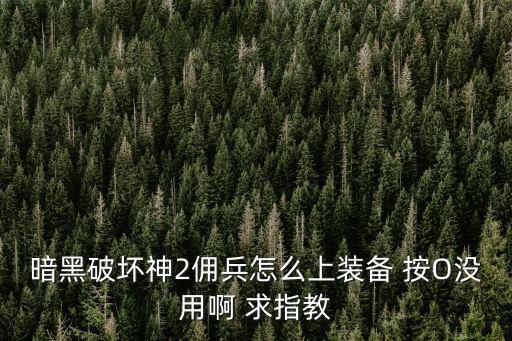 暗黑破坏神2佣兵怎么上装备 按O没用啊 求指教