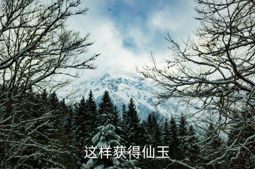 天神战手游怎么刷仙玉，仙玉从那里获得