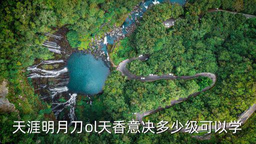 天涯明月刀ol天香意决多少级可以学