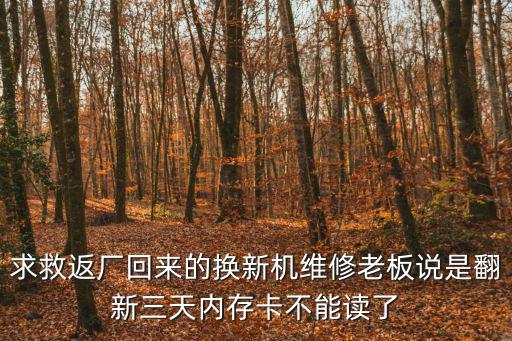 求救返厂回来的换新机维修老板说是翻新三天内存卡不能读了