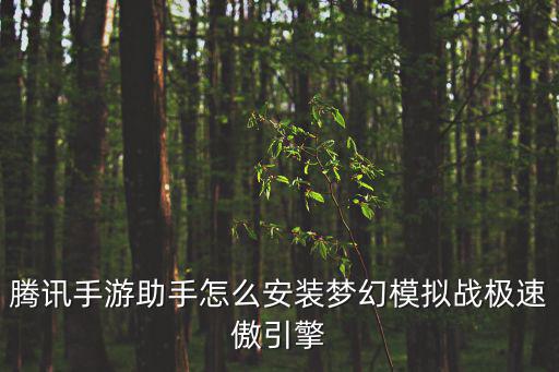 腾讯手游助手游戏引擎怎么安装，腾讯手游助手怎么安装梦幻模拟战极速傲引擎