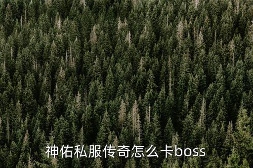 神佑私服传奇怎么卡boss