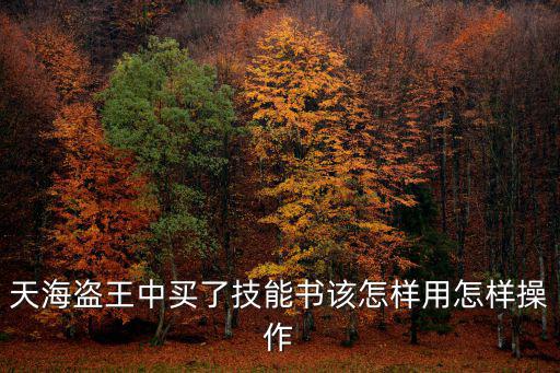 天海盗王中买了技能书该怎样用怎样操作