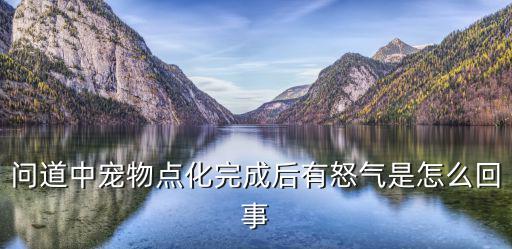 问道中宠物点化完成后有怒气是怎么回事