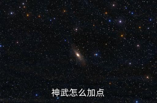 神武怎么加点