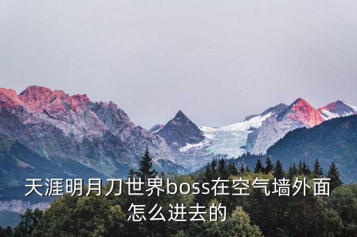 天涯明月刀世界boss在空气墙外面怎么进去的