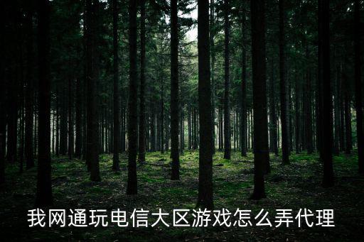 我网通玩电信大区游戏怎么弄代理