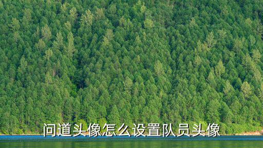问道头像怎么设置队员头像