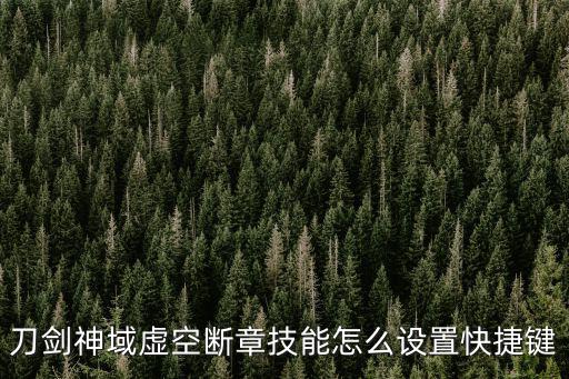刀剑神域虚空断章技能怎么设置快捷键
