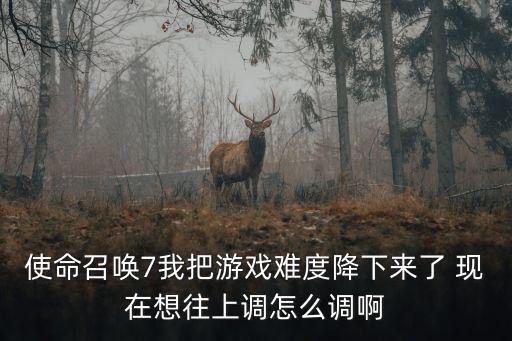 使命召唤7我把游戏难度降下来了 现在想往上调怎么调啊