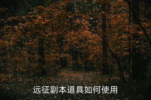 远征副本道具如何使用