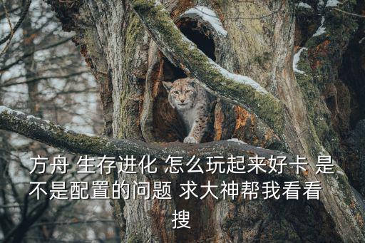 方舟 生存进化 怎么玩起来好卡 是不是配置的问题 求大神帮我看看 搜