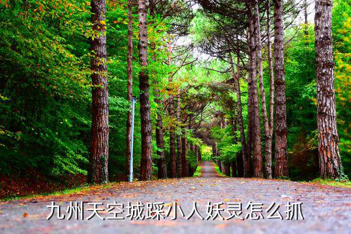倩女幽魂手游妖灵怎么抓，倩女幽魂游戏中怎么样才能捕到灵兽在哪里可以捕