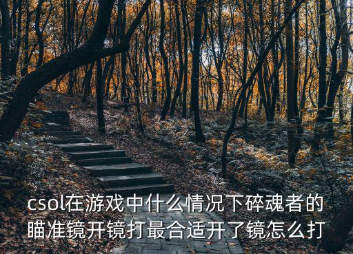 对峙二手游版怎么开镜，对峙2手游加速类的工具有朋友知道吗