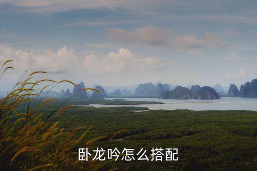 卧龙吟手游怎么搭配阵容，卧龙吟怎么增加阵型