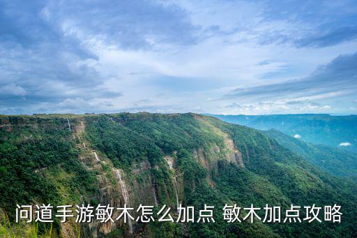 问道手游敏木角色技能怎么学，问道手游体木技能怎么加点 小编推荐3体1敏