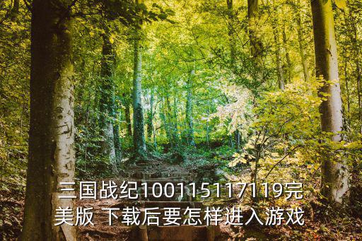 三国战纪100115117119完美版 下载后要怎样进入游戏