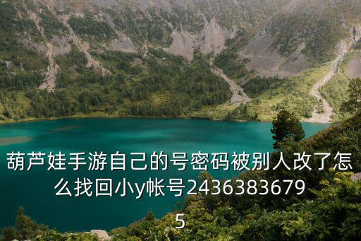 葫芦娃手游自己的号密码被别人改了怎么找回小y帐号24363836795