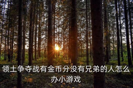 领土争夺战有金币分没有兄弟的人怎么办小游戏