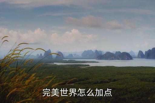 完美世界怎么加点