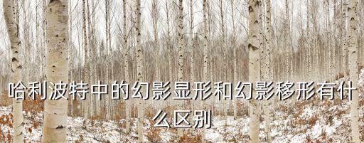 哈利波特中的幻影显形和幻影移形有什么区别