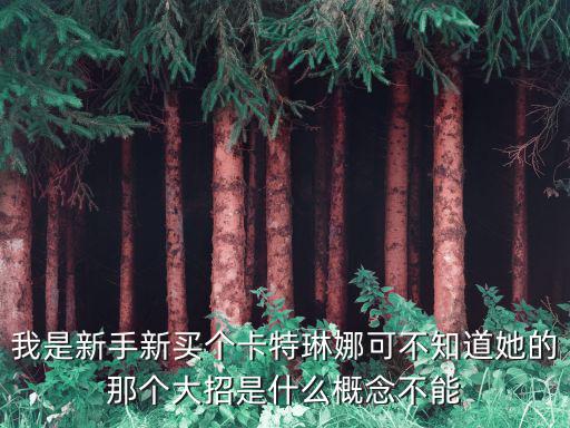 lol手游赛娜大招怎么瞄准，lol新手攻略