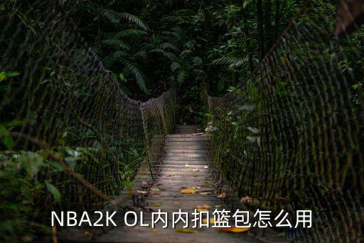 NBA2K OL内内扣篮包怎么用