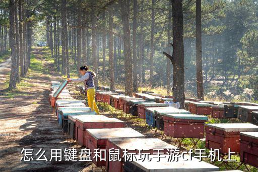 怎么用键盘和鼠标玩手游cf手机上