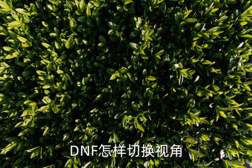 DNF怎样切换视角