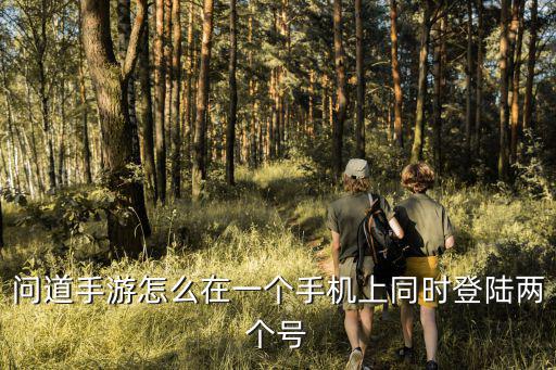 问道手游怎么在一个手机上同时登陆两个号